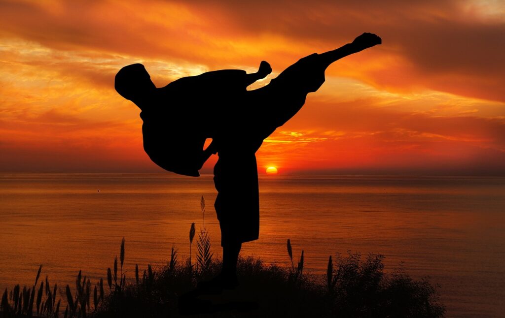sunset, sport, karate-5051305.jpg